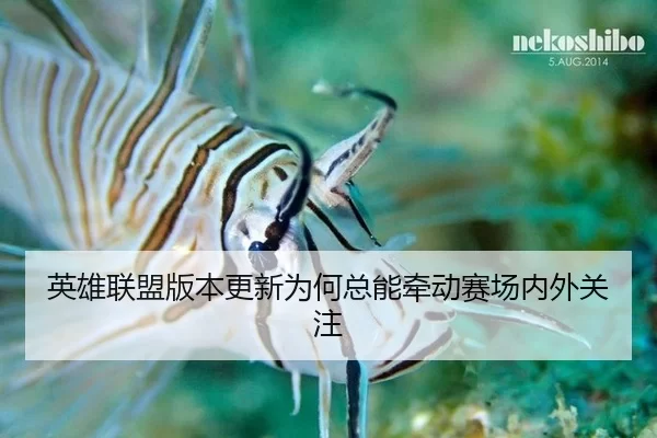 ying-xiong-lian-meng-ban-ben-geng-xin-wei-he-zong-neng-qian-dong-sai-chang-nei-wai-guan-zhu-2-386.jpg